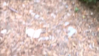 порно с худыми
порно с худой
худое порно
порно худеньких
секс худой
порно худые женщины
секс с худыми девушками
порно с тощей
порно видео худая
стройняшки порно
худые женщины порно
порно молодая стройная
худой секс
худышка секс
худышки порно
секс худышки
секс худышка
порно худышек
porno skinny
худые эротика
голые и худые
порно с худышкой
секс стройная
тощие в порно
секс с тощими
худые голые девушки
порно худ
порно стройная
порно худые 365
порно худые с большой грудью
худые девушки голые
худые ххх
ххх худая
порно с худыми блондинками
порно русская худая
порно худые русское
порно очень худых
порно худые красотки
порно худые маленькие
секс худеньких
порно худые русские
русское порно худых
порно с очень худой девушкой
порно худая русская
порно стройную
русское порно с худыми
голая худая
порно стройняшек
порно русские худые
порно видео худых
порно стройняшка
анал с тощими
порно с тощими
выебал худышку
стройные девушки порно
порно с худенькими девочками
худая девушка секс
порно русское худая
русское порно с худой
голая худышка
худ порно
порно худых молодых
анал с тощей
порно видео с худыми
порно худые
порно с стройными
порно стройных
стройные голые девушки
порно худая девушка
секс с худыми
порно стройная девушка
порно с худенькой девушкой
секс со стройными
голые девушки худые
xxx skinny
порно стройные красотки
секс стройные
порно маленькая худая
порно со стройняшкой
порно онлайн худые
зрелые худые порно
порно со стройными девушками
худые девушки в порно
порно худенькие девушки
худая голая
порно худые блондинки
анал тощие
смотреть порно с худыми
худые молодые порно
порно очень худые девушки
худая ххх
анал худышки
смотреть порно худых
худые порно видео
порно очень худая
очень худые порно
порно с худой зрелой
порно худая зрелая
худая с большими сиськами порно
порно с худенькой
порно с худыми зрелыми
порно анал с худой
порно с худенькая
стройные порно
порно миниатюрные худышки
порно видео тощие
порно со стройными
порно русское худые
порно со стройной девушкой
секс видео худые
порно ролики худые
порно с худой брюнеткой
порно с очень худой
порно с стройной
худенькие девушки порно
худые голые
порно тощие
teen skinny porn
голая худая девушка
sex skinny
стройная девушка порно
стройная секс
трахнул тощую
худая голая девушка
секс худая девушка
худенькая секс
порно с худыми брюнетками
порно с худенькими
трахнул очень худую
порно худая с большими сиськами
худые в порно
стройняшка порно
секс с худышками
порно с худыми девушками
выебал худенькую
порно худенькая
худые порно актрисы
порно с худой девушкой
порно худыми
трахает тощую
порно с очень худыми
skinny porno
молодые худые порно
порно с худышками
порно худых девушек
ебля тощих
porn skinny
секс с худышкой
худышки анал
порно юных и худых
порно анал тощие
худая девушка порно
секс с стройной
анал с худышками
порно очень худая девушка
стройная порно
порно видео худенькие
порно худенькие девочки
худую трахают
порно худые зрелые
очень худая порно
порно худых
порно стройняшки
секс с стройной девушкой
худые девочки порно
худая анал
тощая анал
выебал худую
порно анал худых
порно худая молодая
скинни порно
худые зрелые порно
порно худые брюнетки
худенькая анал
порно худые домашнее
секс худые девушки
худые порноактрисы
худенькие порно
секс с молодой худой
порно с худыми девочками
голые худые девушки
худых ебут
порно с худой блондинкой
тощие секс
худышки секс
porno худые
порно худые девочки
порно видео худые
порно с очень худыми девушками
порно с худыми женщинами
порно зрелых худых
порно худышка
худая зрелая порно